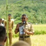 Kereta Api Rute Makassar-Parepare, Taufan Pawe; Ekonomi Bakal Menggeliat