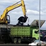 Aktivitas Bongkar Muat Batu Bara, Taufan Pawe; Kalau Mengganggu Perlu Ditinjau