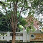 6 Caleg di Pinrang Masih Nikmati Gaji Anggota Dewan Padahal Sudah Pindah Partai, Ini Alasannya