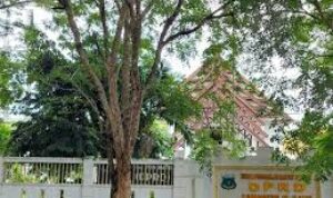 6 Caleg di Pinrang Masih Nikmati Gaji Anggota Dewan Padahal Sudah Pindah Partai, Ini Alasannya