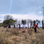 10 Hektare Lahan di Pinrang Terbakar, Damkar Turunkan 1 Mobil Pemadam