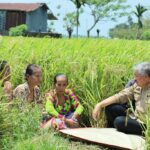 Irwan Hamid Hadiri Acara Maccera Ase, Ajak Bersyukur Hasil Panen Bagus saat Musim Kemarau