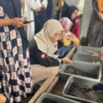 Pemkot Parepare Lakukan Pembinaan Terhadap Ternak Warga