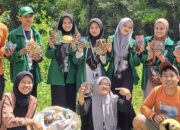 KMPS Desa Anrang-Mahasiswa UINAM Temukan Banyak Sampah di Sungai Balentieng Bulukumba