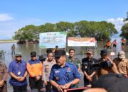 Pemerintah Kabupaten Pinrang Galakkan Penanaman Mangrove di Desa Paria sebagai Upaya Mitigasi Abrasi