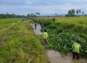 UPTD SDABK Wilayah Tiroang bersama Warga, Intens Lakukan Pembersihan Saluran Sekunder