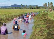 Plt Kepala UPTD SDABK Pinrang Wilayah Tiroang Gelar Kerja Bakti Pembersihan Irigasi di Kelurahan Pammase