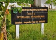 Oknum Disnakbun Pinrang Diduga Potong Dana untuk Kelompok Tani, Polisi Selidiki