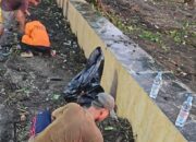 Pemkot Parepare Gerak Cepat Bersihkan Sampah Pesisir Jalan Mattirotasi
