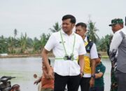 Dinas TPH dan SDA-BK Kawal Normalisasi 8 Km Irigasi Suppa: Komitmen Pemda Jamin Ketersediaan Air Petani Pinrang