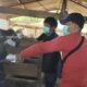 Dinas Peternakan Pinrang Mulai Pemeriksaan Hewan Kurban, Tanduk Diberi Cat Ungu