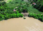 Bupati Irwan Soroti Abrasi di Duampanua, Pemkab Gandeng BBWS Cari Solusi Jangka Panjang