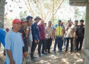 Kemarau Panjang, Bupati Pinrang Cek Panen Padi hingga Pompanisasi